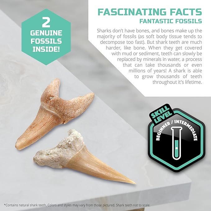 Discovery #MINDBLOWN Mini Fossil Dig Set, 2 Pack Real Shark Teeth Excavation Kit, Interactive Archaeology Paleontology Experiment, Learn Science, Fun and Educational STEM Toy for Kids Ages 6 and Up