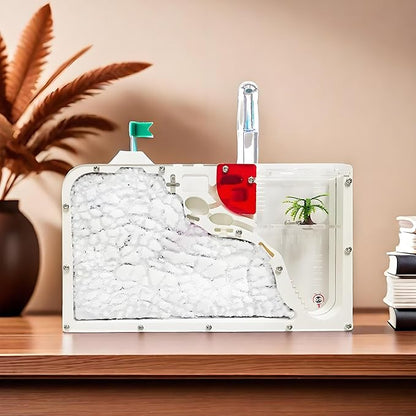 Sand Ant Farm Castle for Kids,Large Ant Habitat to Study Insect Behavior,Ant Colony Ecosystem Science Educational Gift for Classroom