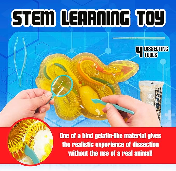 Top Secret Toys Rattlesnake Super Lab Dissect It Kit for Kids, Synthetic Dissection Kids Science Kit to Learn Biology, STEM Toys for 6 Year Old and Up