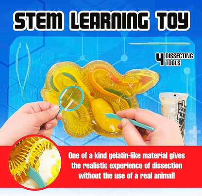 Top Secret Toys Rattlesnake Super Lab Dissect It Kit for Kids, Synthetic Dissection Kids Science Kit to Learn Biology, STEM Toys for 6 Year Old and Up
