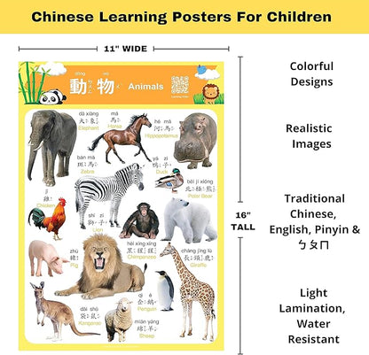 N/A/ Chinese Learning 10-Poster Set for Kids. Montessori-Inspired. Bilingual with Traditional Chinese, English, and Zhuyin.