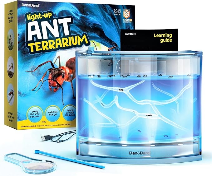 Light-up Ant Farm Terrarium Kit for Kids – LED Habitat for Live Ants with Nutrient Rich Gel - Watch Them Dig Their Own Tunnels - Nature Learning, Science Toys, Experiment Gift for Boys & Girls
