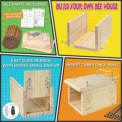 Rivajam Build a Bee House DIY Woodworking Project | Solitary Mason Bee House Nesting Box Wood Building Kit & Tools | Garden Arts & Crafts Activities for Toddler Boys & Girls Kids Teens Adults & Family