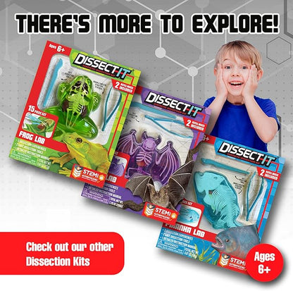 Dissect-It Kit for Kids 6 Plus, Simulated Synthetic Lab Dissection Toy | Salamander | Authenticated STEM Toys | Kids Learn Animal Science, Biology, and Anatomy