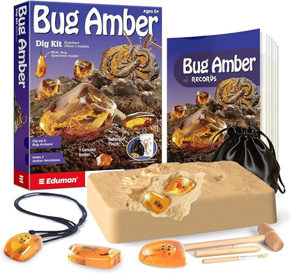 EDUMAN Amber Dig Kit - 6 Artificial Insect Resin Specimens, Bugs Fossil Excavation Set with Natural Amber, STEM Inspired Educational Toy for Kids Ages 6-12, for Boys & Girls