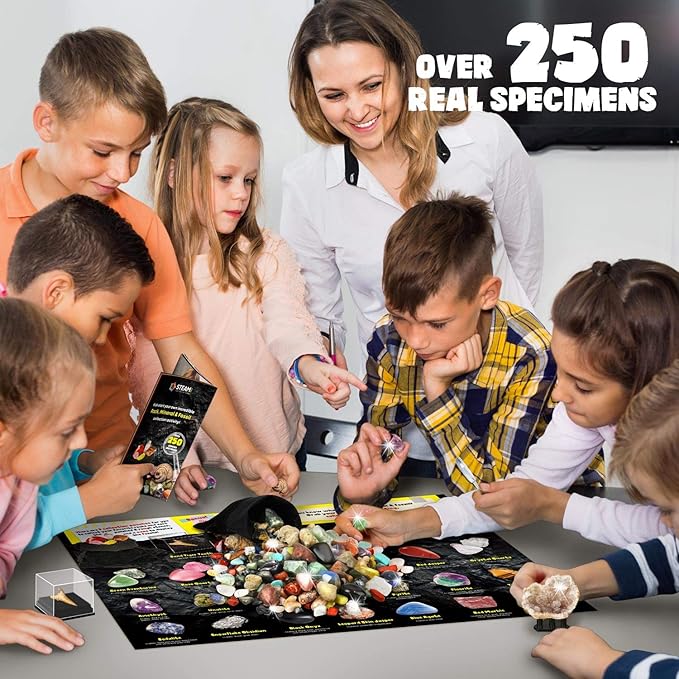 Rocks Minerals & Fossils Collection for Kids 250+ Real Gemstones and Crystals Rock Identification Kit includes Display Case, Genuine Fossils, Geodes Great Geology, Science Gift for Boys & Girls