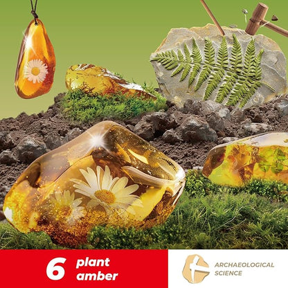 EDUMAN Amber Dig Kit - 6 Artificial Plant Resin Specimens, Biology Fossil Excavation Set with Natural Amber, STEM Inspired Educational Toy for Kids Ages 6-12, for Boys & Girls