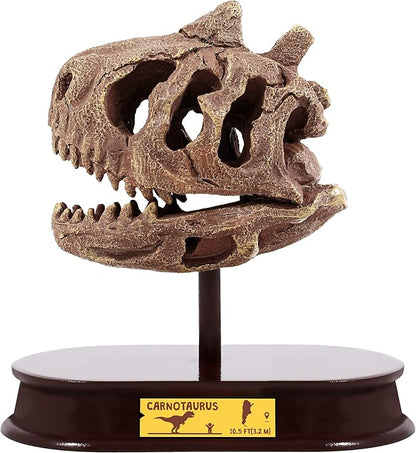ArtCreativity Dinosaur Excavation Kit for Kids, Carnotaurus Skull Excavating Set with Fossil Digging Tools and Stand, Fun Science Activity Toy, Educational Dinosaur Gift for Boys and Girls