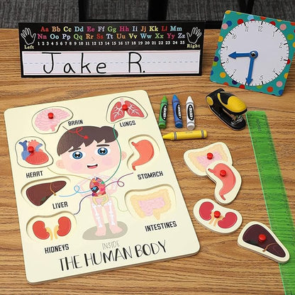 Blue Panda 2 Pack Educational Wood Peg Anatomy Puzzle Toys for Kids Game, Human Body Parts