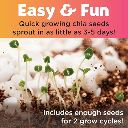 Creativity for Kids Plant and Grow Unicorn Forest: Terrarium Kit for Kids, Unicorn Toys and STEM Kits for Kids, Arts and Crafts for Girls Ages 6-8+