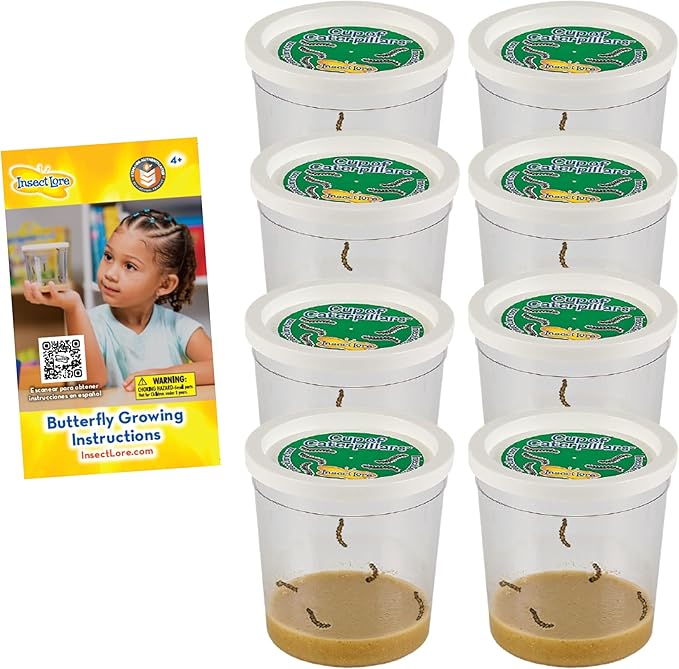 Insect Lore Cup of Caterpillars™ Basic - 8 Cups | 40 Live Baby Painted Lady Caterpillars | 5 Per Cup | Refill for Habitat Kit | Caterpillars and Food Included