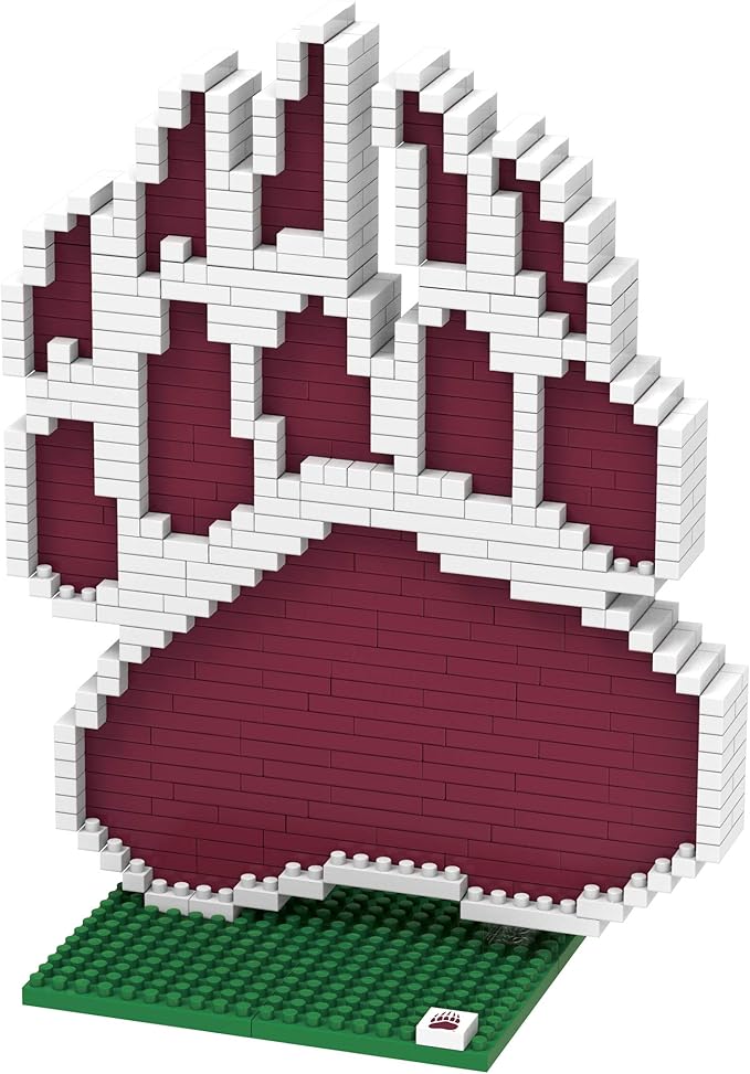 FOCO NCAA College 3D Brxlz - Logo