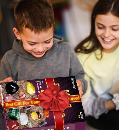 Gemstone Crystal Rocks Dig Kit, Excavate 20 Real Gems Fossils, STEM Geode Toys for Ages 4 5 6 7 8 9 10 11 12 Year Old Kids Girls Boys, Educational Discovery Science Collection Gifts (Purple)