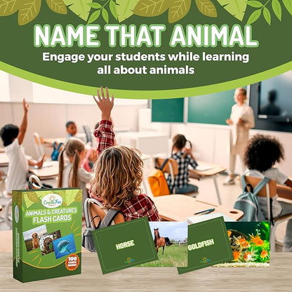 100 Animal, Insect & Ocean Creatures Flash Cards, Realistic Pictures for Fun Learning & Montessori Educational Vocabulary Builder for Preschool Kids, Adults, Schools, Autism, Speech Therapy, ESL, SLP