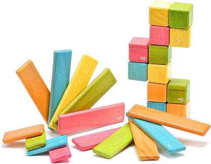 26 Piece Tegu Discovery Magnetic Wooden Block Set,1-99 years old, Tints