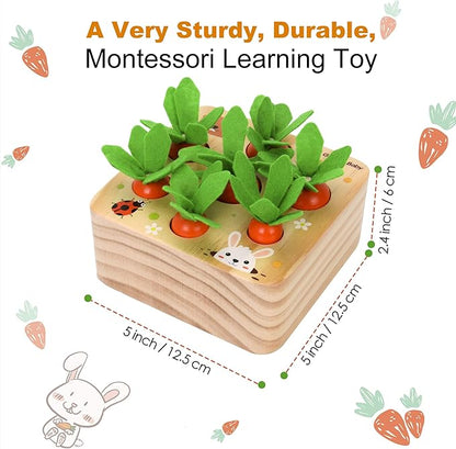 Carrot Harvest - Wooden Educational Toys for Boys and Girls - Preschool Learning Gift - Toddlers Wood Game – Shape Sorting Toy - Worm Toy Playset - for Age 1 2 3 Year Old