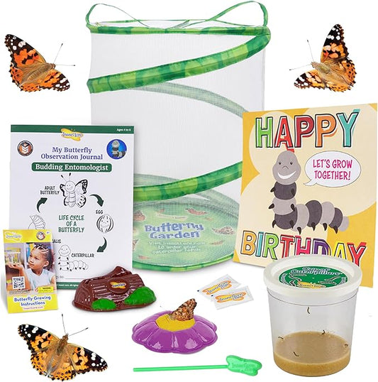 Insect Lore Birthday Butterfly Garden | Butterfly Growing Kit with Live Caterpillars | 5 Live Caterpillars, Reusable Habitat, STEM Butterfly Journal, 10 Inch Birthday Card & More
