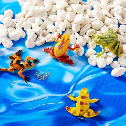 48 Pieces Plastic Frogs Toy Mini Vinyl Realistic Frog Toy Decorations Frogs Fun Rain Forest Character Toys Realistic Frog Figures Lifelike Toy for Crafting Party Supplies Home Decor Game