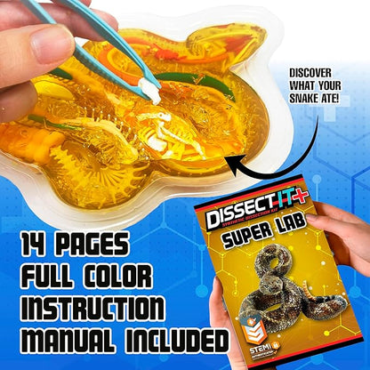 Top Secret Toys Rattlesnake Super Lab Dissect It Kit for Kids, Synthetic Dissection Kids Science Kit to Learn Biology, STEM Toys for 6 Year Old and Up