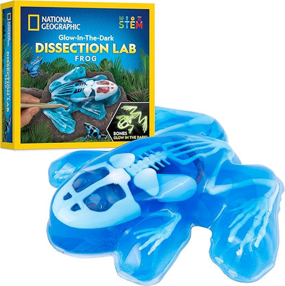 NATIONAL GEOGRAPHIC Frog Dissection Kit Anatomy Lab - Glow in the Dark Synthetic Frog Dissecting Science Lab for Kids with Dissecting Tools, Glowing Bones & Realistic Organs, Science Toys, Biology Kit