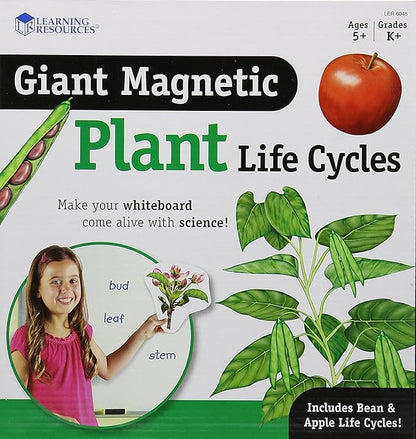 Learning Resources Giant Magnetic Plant Life Cycle - 12 Pieces, Science Exploration Activities for Kids, Homeschool and Classroom Science Supplies