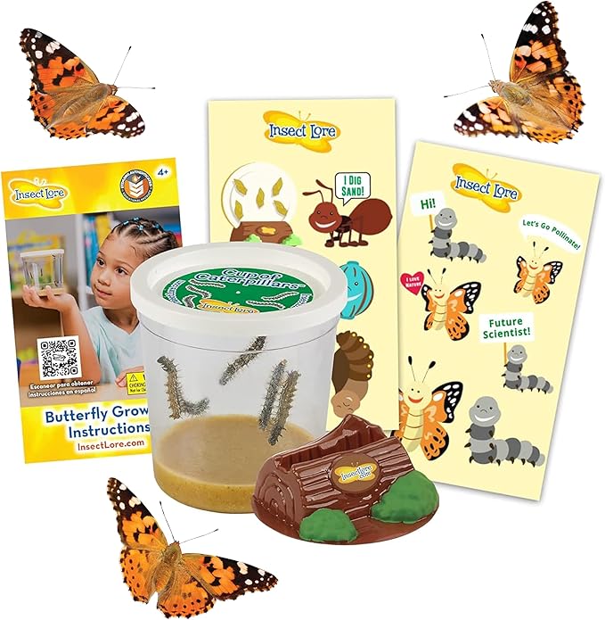 Insect Lore Cup of Caterpillars | 5 Live Caterpillars for Butterfly Garden | Refill for Painted Lady Butterfly Kit | Stickers & Chrysalis Log | STEM Learning Activity