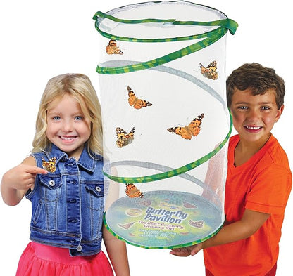 Insect Lore Giant Butterfly Garden with Voucher | 18 Inch Habitat | Life Cycle Figurines Included | Voucher to Redeem 5 Baby Caterpillars Later | Raise Painted Lady Butterflies