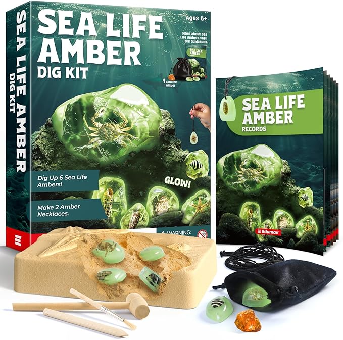 EDUMAN Amber Dig Kit-6 Artificial Sea Life Resin Specimens, Glow in The Dark Oceanlife Fossil Excavation Set, STEM Inspired Educational Toy for Kids Ages 6-12, for Boys & Girls