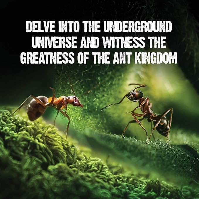 Light-up Ant Farm Terrarium Kit for Kids – LED Habitat for Live Ants with Nutrient Rich Gel - Watch Them Dig Their Own Tunnels - Nature Learning, Science Toys, Experiment Gift for Boys & Girls