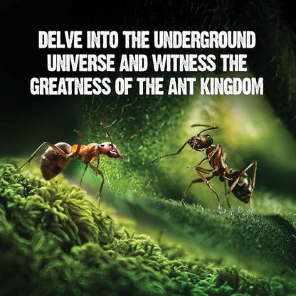 Light-up Ant Farm Terrarium Kit for Kids – LED Habitat for Live Ants with Nutrient Rich Gel - Watch Them Dig Their Own Tunnels - Nature Learning, Science Toys, Experiment Gift for Boys & Girls