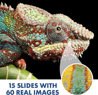 Educational Insights GeoSafari Jr. Kidscope, Kids Microscope, STEM Toy, Gift for Boys & Girls, Ages 5+