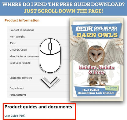 OBDK Barn Owl Pellets for Dissection - 1 Pack Small Sized (1.0-1.5") with Tools, Guide and Charts from Owl Brand Discovery Kits