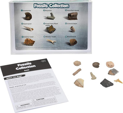 Educational Insights Complete Rock, Mineral, and Fossil Collection, Ages 8 and up, (57 pieces with storage tray)