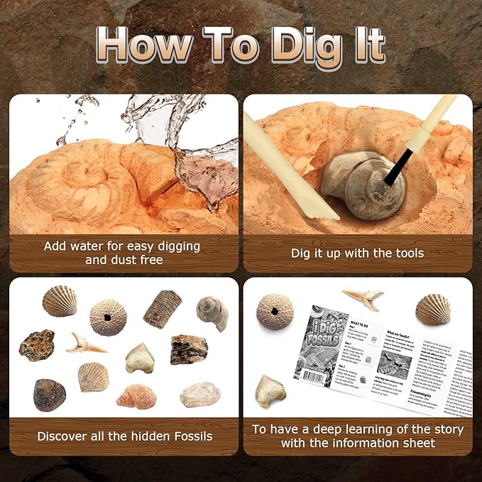 Byncceh Fossil Dig Kit - Educational STEM Science Toys for Kids Ages 6+ - Dig Up 12 Fossils Real & Dinosaur Bones Rocks - Digging Activities Kits - Paleontology, Discovery Gifts for Boys & Girls