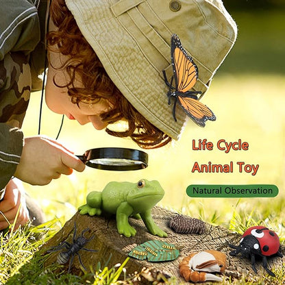 Montessori Animal Match Game Cards Marine Animal Matching Montessori Language Materials Toddlers Preschool Educational Learning Toys Language Materials Shape Sorting Toy