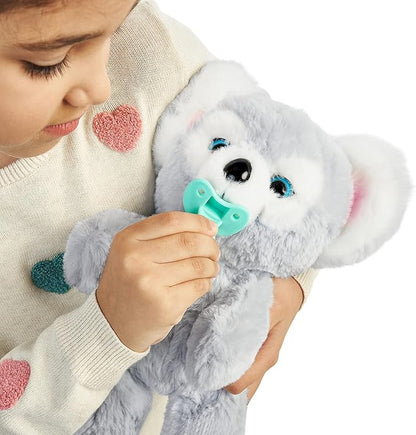 Little Live Pets Cozy Dozy Kip The Koala Bear - Over 25 Sounds and Reactions | Bedtime Buddies, Blanket and Pacifier Included | Stuffed Animal, Best Nap Time, Interactive Bear - Styles May Vary
