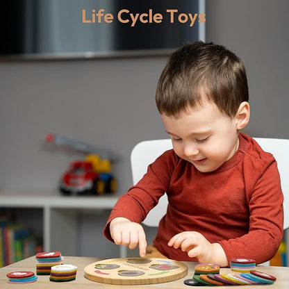 Life Cycle Toys for Kids, 12 Themes Montessori Preschool Science Center Materials, Wooden Learning & Educational Toys for Toddlers, Learning Game Travel Toy Birthday for Boys Girls Age 3-6