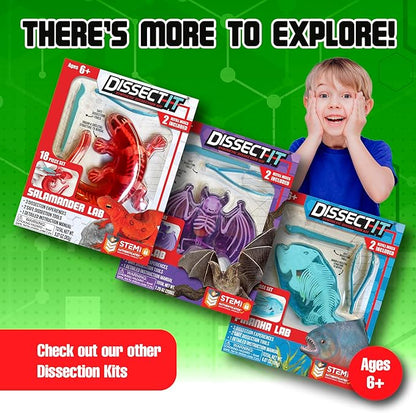 Dissect-It Kit for Kids Plus Upgraded Frog Dissection Toy Kit, Realistic Lab Experience, No Use of Real Frog! No Odor, STEM Toys, Animal Science & Anatomy Home Learning for Kids, Boys, Girls