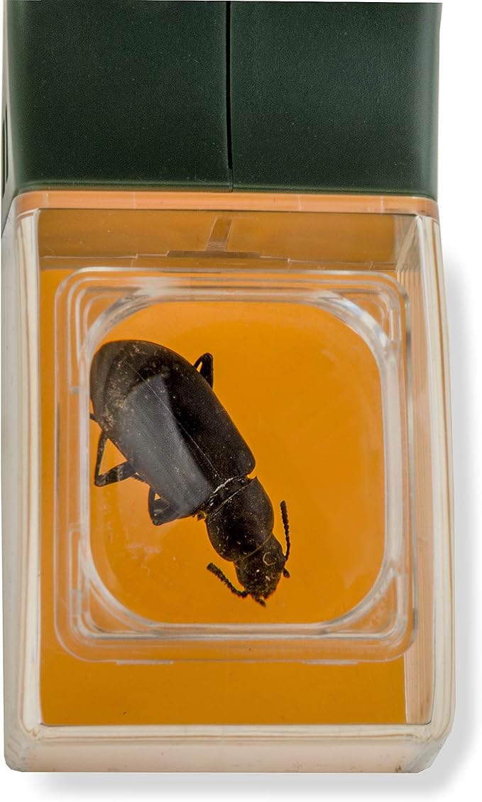 Carson BugView Bug Catching Tool & Magnifier - Set of 6 (HU-10MU)