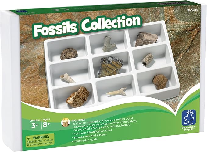Educational Insights Fossil Collection, Ages 8 and up, (9 Pieces with Storage Tray)