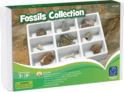 Educational Insights Fossil Collection, Ages 8 and up, (9 Pieces with Storage Tray)