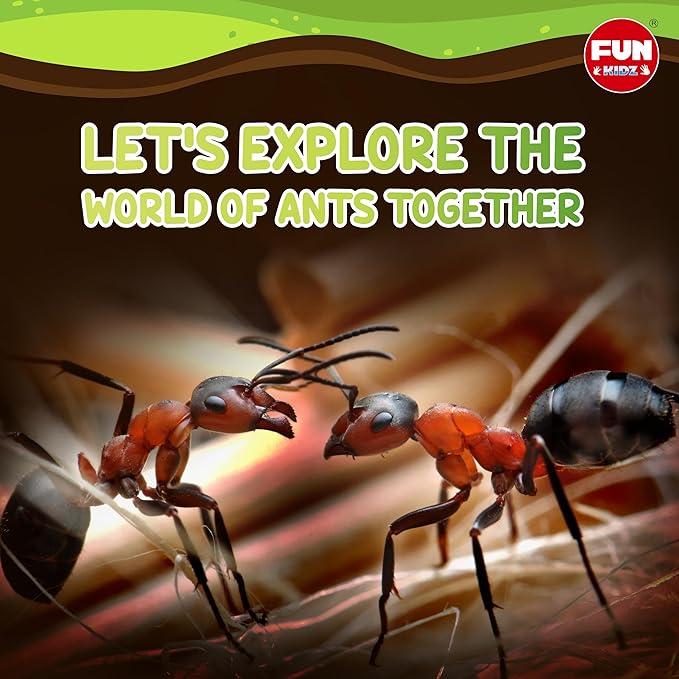 Science Ant Farm Kit for Live Ants, FunKidz Ant Colony Habitat Kit for Kids Gel Bug Terrarium House Watch Ants Dig Tunnels Entomology Learning Toys for Boys Gift