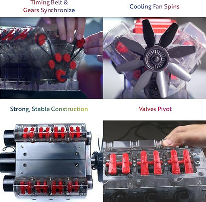 Playz V8 Combustion Engine Model Kit That Runs - Build Your Own STEM Mini V8 Model Engine Kit for Adults & Kids Age 12+, Visible V8 Mini Engine Kit That Works for Adult w/ 270 STEM Parts