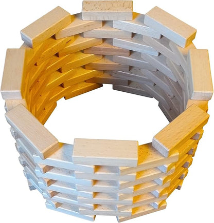 Magz Magnetic Wooden Bricks 40 Piece, Magnetic Building Blocks containing 40 magnetized Natural Wood Bricks/Blocks Building and Stacking Set Offered