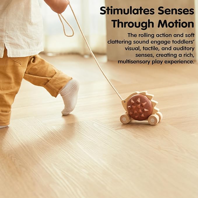 PlanToys® Wooden Pull Along Hedgehog | Montessori Pull Toy for Toddlers | Walking Toy with Sound, Early Learning, Balance & Coordination | Eco Friendly Wooden Toy