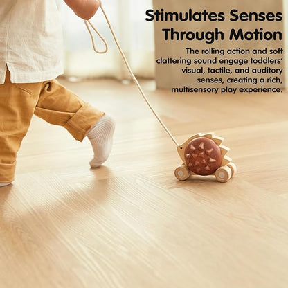 PlanToys® Wooden Pull Along Hedgehog | Montessori Pull Toy for Toddlers | Walking Toy with Sound, Early Learning, Balance & Coordination | Eco Friendly Wooden Toy