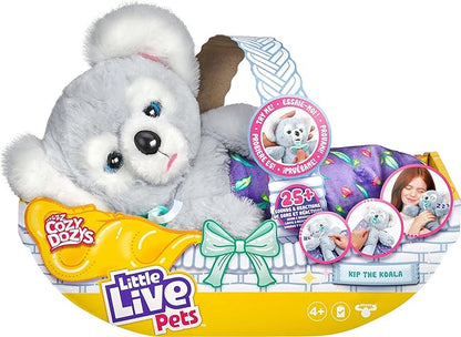 Little Live Pets Cozy Dozy Kip The Koala Bear - Over 25 Sounds and Reactions | Bedtime Buddies, Blanket and Pacifier Included | Stuffed Animal, Best Nap Time, Interactive Bear - Styles May Vary