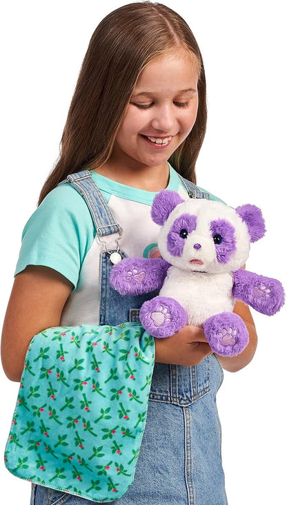Little Live Pets WODJ4 Cozy Dozys: Petals The Panda | Interactive Plush Toy Panda. 25+ Sounds and Reactions. Magical Eye Movement. Blanket, Pacifier for Kids Ages 4+, Multicolor (26400)