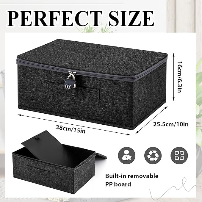 Briwooody Discreet Lockable Toy Bag Storage Organizer Toy Bag Storage Bins Case with Zipper Lid for Women and Men Clothes Container(Black,15 x 10 x 6.3 Inch)