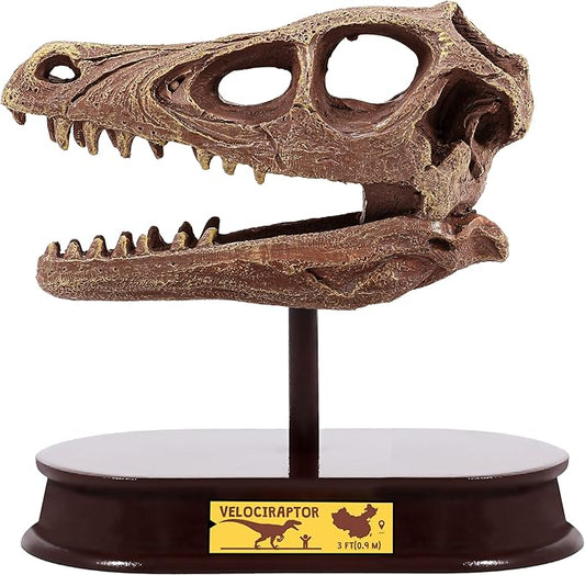 ArtCreativity Dinosaur Excavation Kit for Kids, Velociraptor Skull Excavating Set with Fossil Digging Tools and Stand, Fun Science Activity Toy, Educational Dinosaur Gift for Boys and Girls
